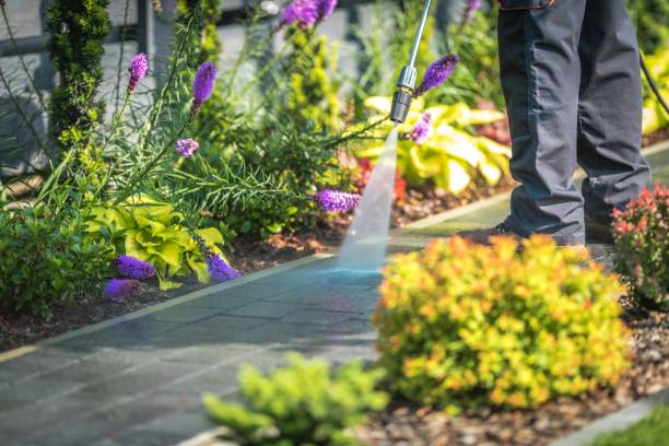 Best Boat and Dock Cleaning  in Roosevelt Gardens, FL