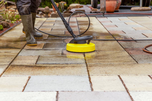 Best Solar Panel Cleaning  in Roosevelt Gardens, FL